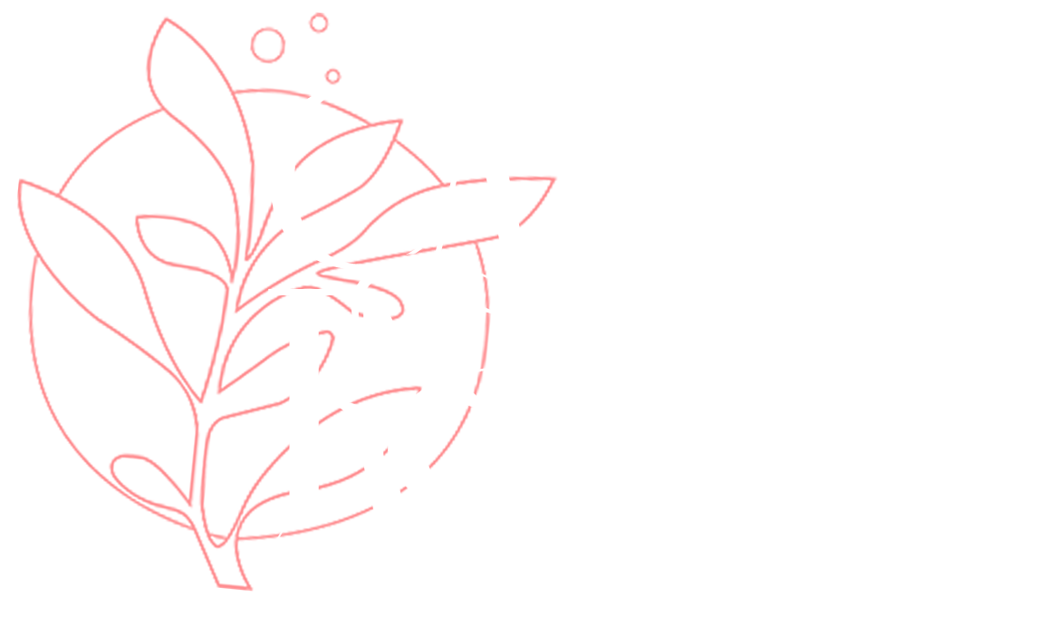 Cangas de Onís y Picos de Europa